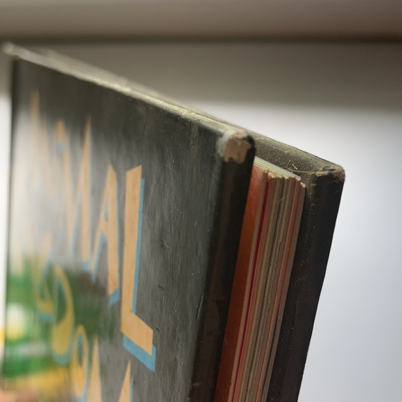 Animal Kingdom Hardback Book - Picture 16 of 16